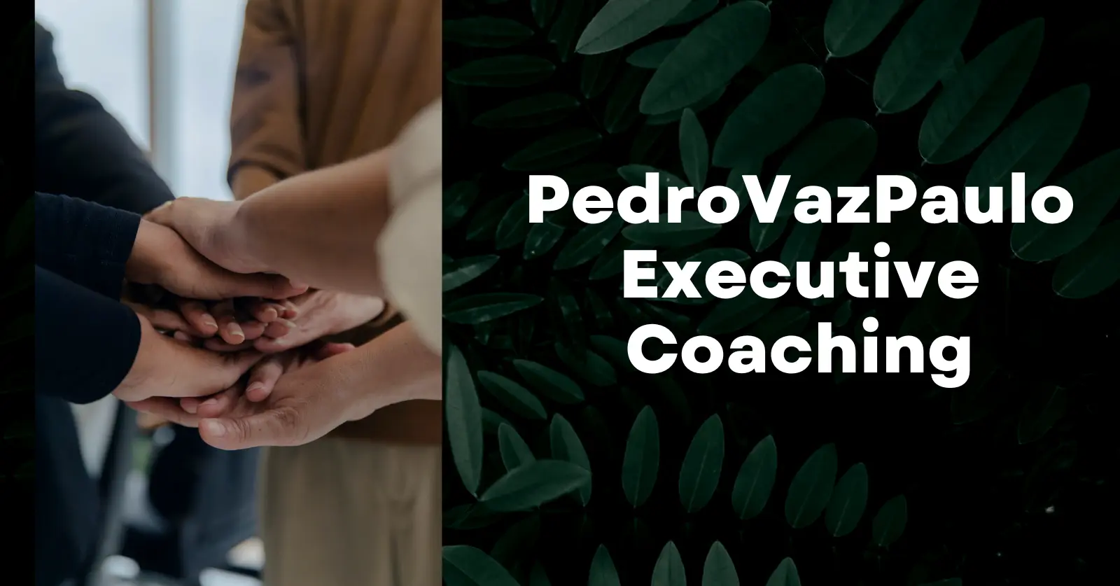 pedroVazPaulo Executive Coaching